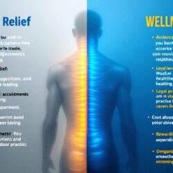 Acute pain marketing versus wellness marketing showing different patient types and practice stability