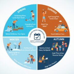 Four seasons showing changing patient activities from gardening to sports to school to holidays creating marketing opportunities