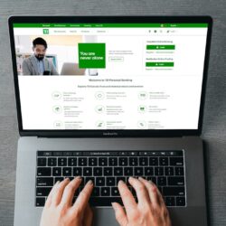 showcase chiropractic service